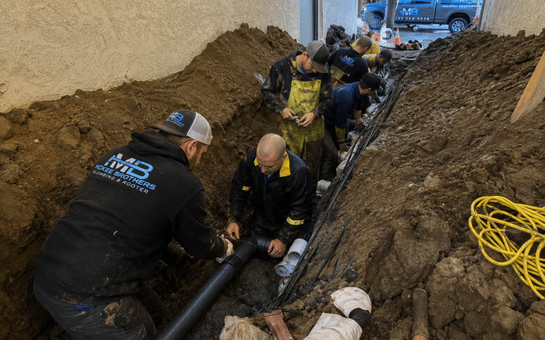 7 Warning Signs Your Sewer Line May Need Repair